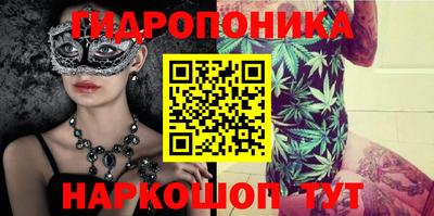 jwh Свободный