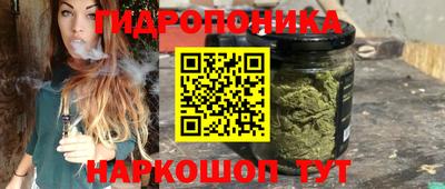 jwh Свободный