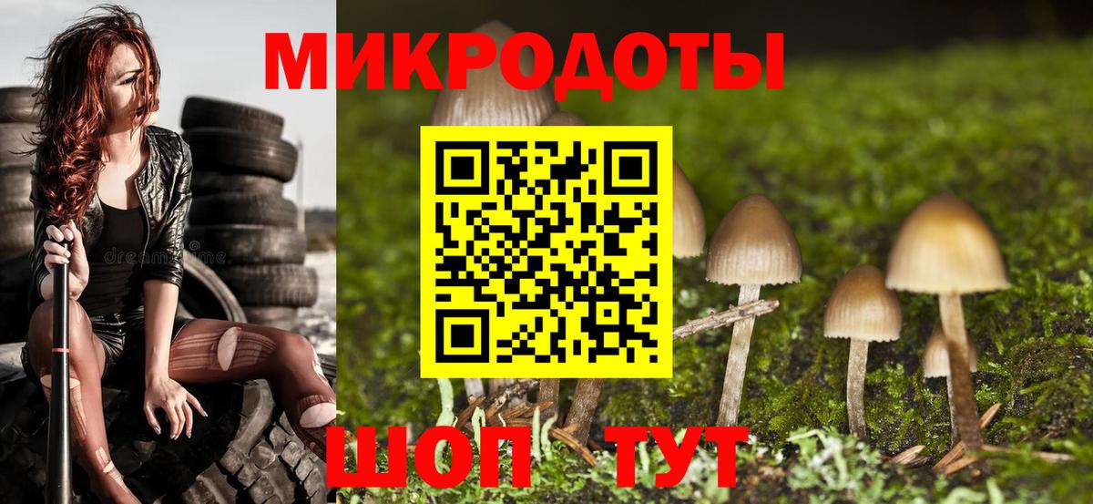 Рязань  Галлюциногенные грибы Psilocybine cubensis  купить закладку  Вход с VPN 